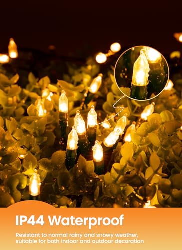 LED Christmas Mini Lights