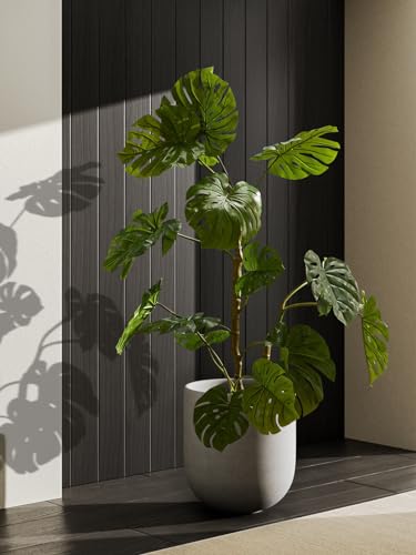 12 Inch Pots for Plants