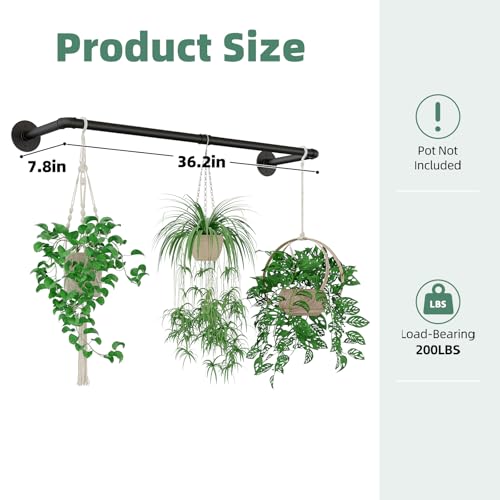 Plant Hanger Indoor Hanging Planters for Indoor Plants Hanging Plant Holder Black Metal Rod