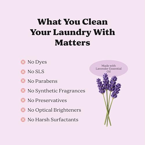 Laundry Detergent Powder Alternative (60 Ounce)