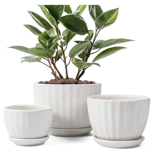 Ceramic Plant Pots with Saucers (3 Count)