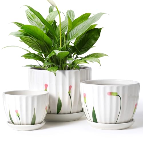 4/5/6 Inches White Ceramic Plant Pots with Drainage Holes and Saucer