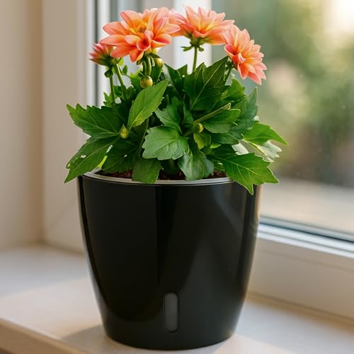 Self Watering Pots for Indoor Plants (6 Count)