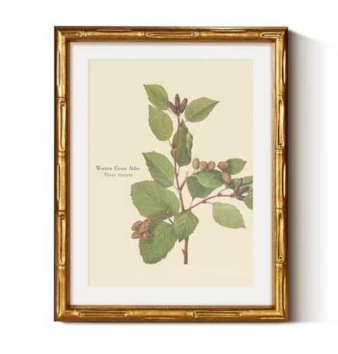 Gold Framed Bamboo Wall Art