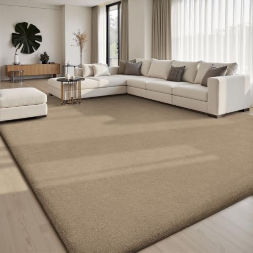 10x14 Area Rugs for Living Room Bedroom
