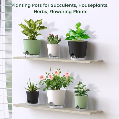 6 inch Self Watering Pots for Indoor Outdoor Plants (6 Count)