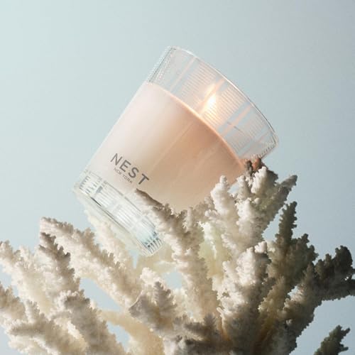 Scented Classic Candle (8.1 Ounce)