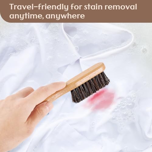 3 Pcs Wood Laundry Stain Brush Stain Remover Brushes with Boar Bristle Small Stain Brush for Clothes for Scrubbing Stains from Furniture Fabric Leather (3 Count)
