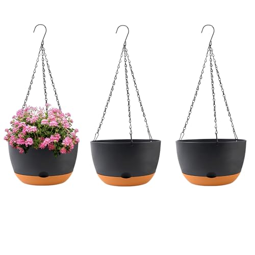 10 Inch Hanging Baskets (3 Count)