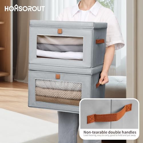 Large Closet Storage Organizer (2 Count)