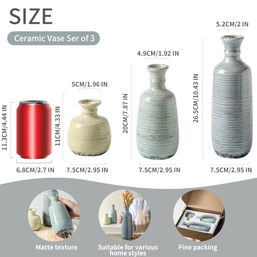 Ceramic Vase Set of 3 (3 Count)