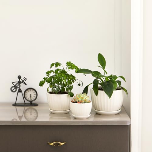 Ceramic Plant Pots with Saucers (3 Count)