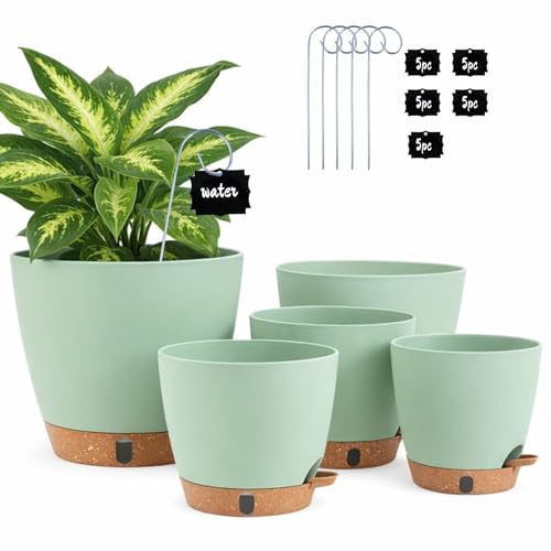 5 Pack Self Watering Pots for Indoor Plants (5 Count)