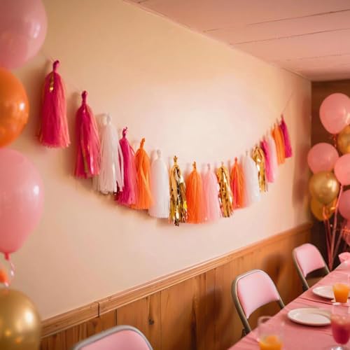 Shiny Tassel Garland Tissue Paper Tassel Banner