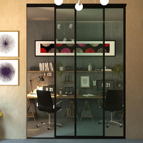Glass Room Divider and Sliding Glass Closet Doors