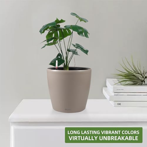 9x8 Self Watering Planter