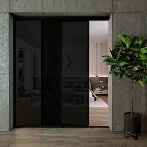 Glass Room Divider and Sliding Glass Closet Doors
