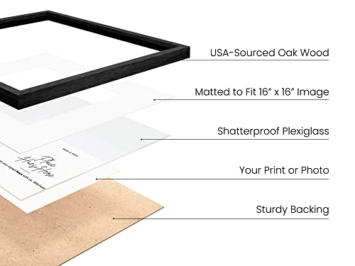 Black Oak Wood 20x20 Picture Frames (25 Count)