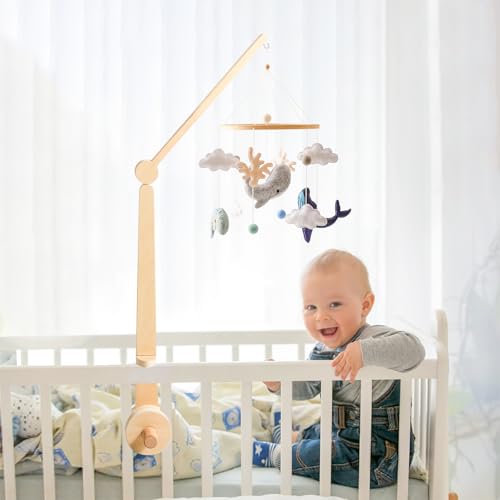 Crib Mobile Arm
