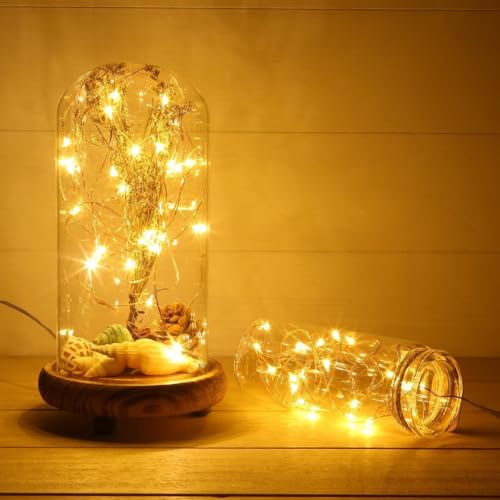 Battery Operated Fairy String Lights