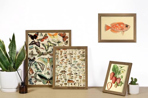 16 PCS Framed Vintage Wall Art Decor (16 Count)