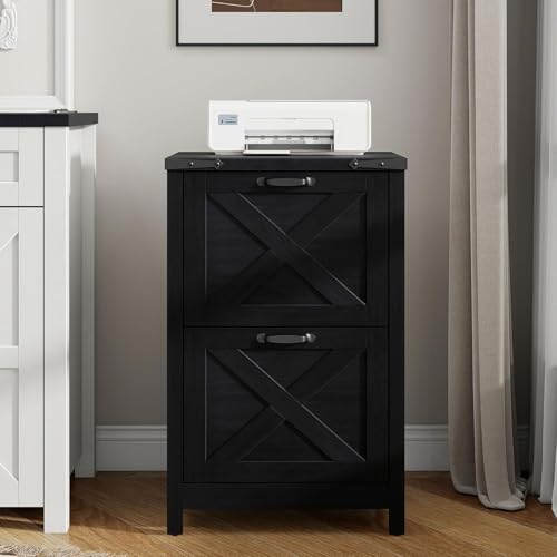 Vertical File Cabinet with 2 Drawers