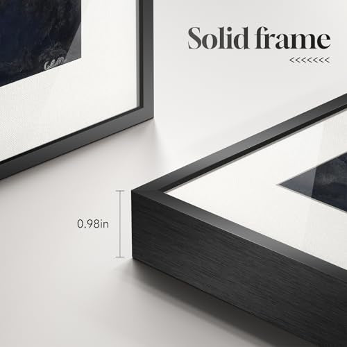 Framed Modern Black and White Bird Wall Art