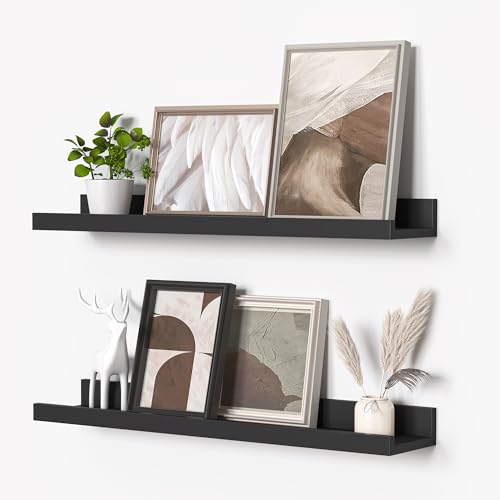 Picture Ledge Shelf (2 Count)