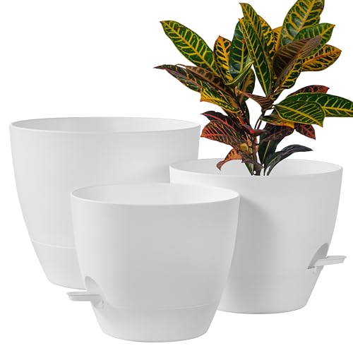 3 Pack Large Planter Pots (3 Count)