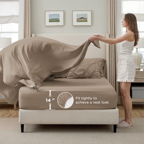 Twin Comforter Set & Sheet Set