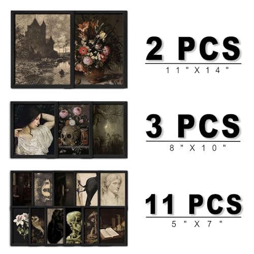 16 PCS Framed Dark Academia Room Decor (16 Count)