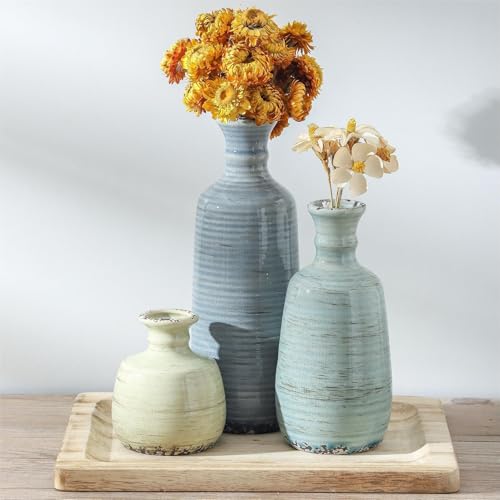 Ceramic Vase Set of 3 (3 Count)