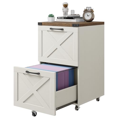 Farmhouse File Cabinet with 2 Drawers