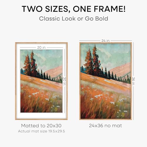 24x36 Natural Oak Poster Frame (2 Count)