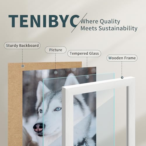 11x17 Picture Frame 3 Pack (3 Count)