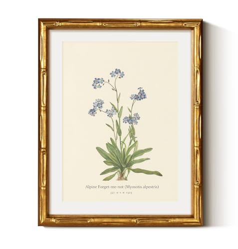 Gold Bamboo Framed Wall Art