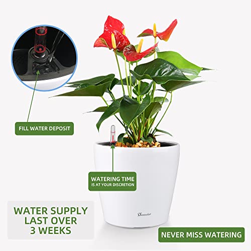 11x10 Self Watering Planter