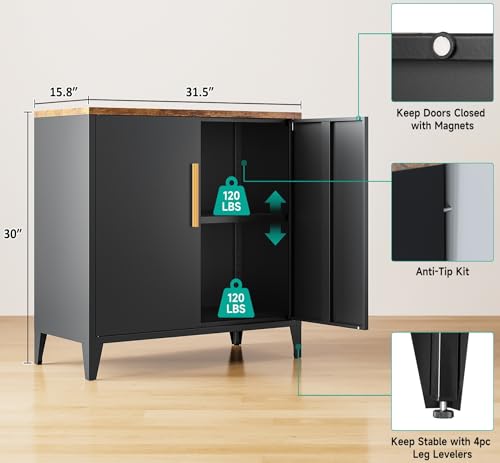 Black Storage Cabinet with Doors and Shelves