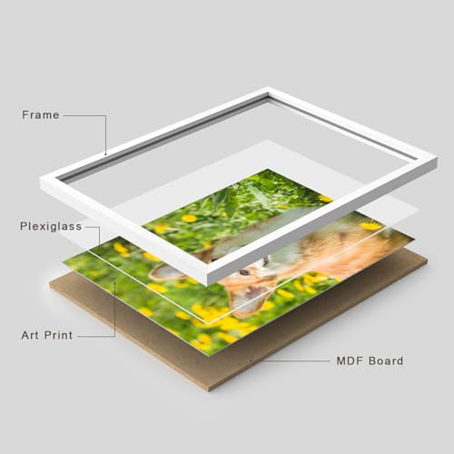 Custom Framed Poster Prints with Your Any Photos