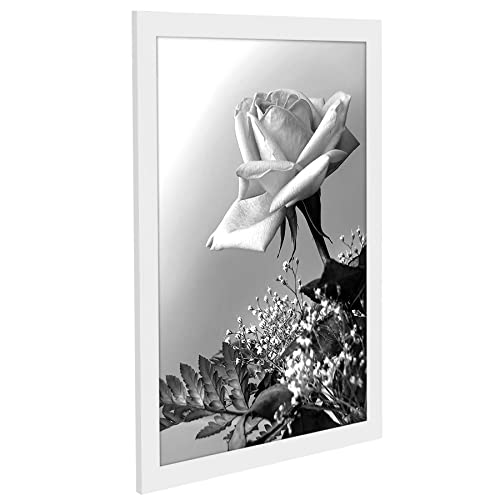 12x18 Poster Frame