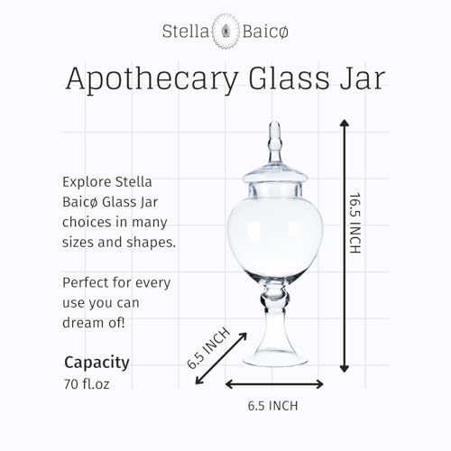 Large Glass Apothecary Jars with Lid