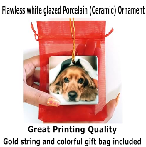 Personalized Christmas Ornament