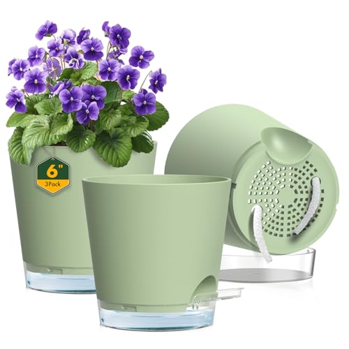 6 inch Self Watering Pots for Indoor Outdoor Plants (3 Count)