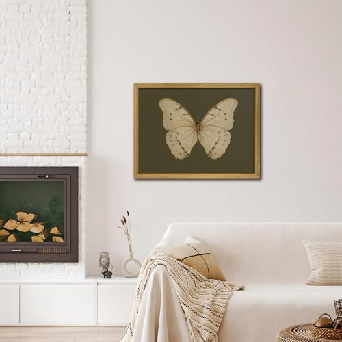 Wood Framed Butterfly Wall Art