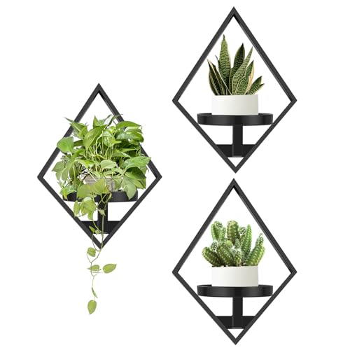 Wall Plant Holder (3 Count)