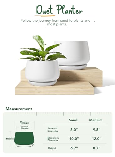 Ceramic Plant Pots (2 Count)