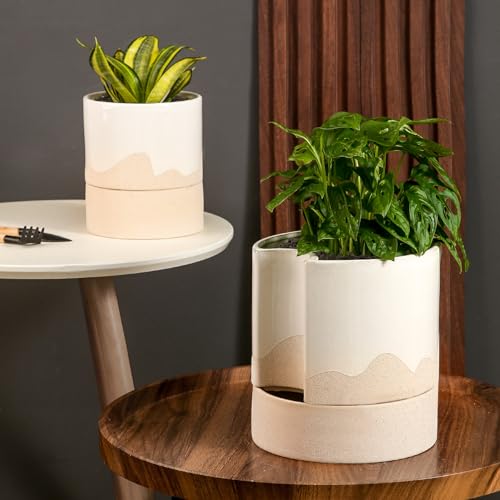 Ceramic Self Watering Plant Pot for Indoor Plants