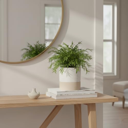Ceramic Self Watering Plant Pot for Indoor Plants