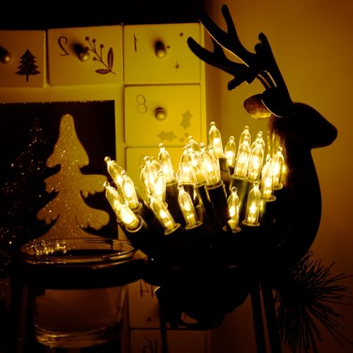 16 Ft 50 LEDs Warm White Christmas String Lights
