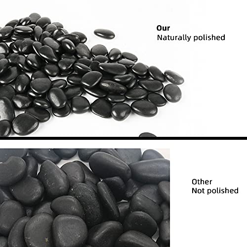 Black Pebbles for Plants 18lb 0.5"